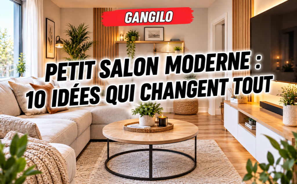 déco petit salon